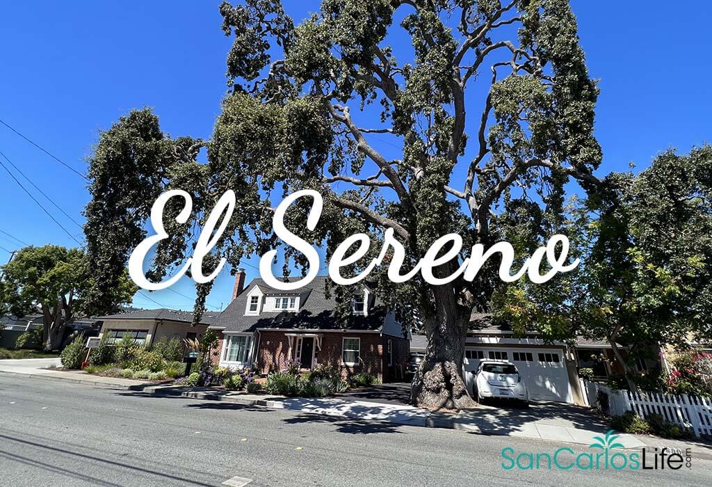 El Sereno & White Oaks, San Carlos Latest Homes for Sale, Top Schools
