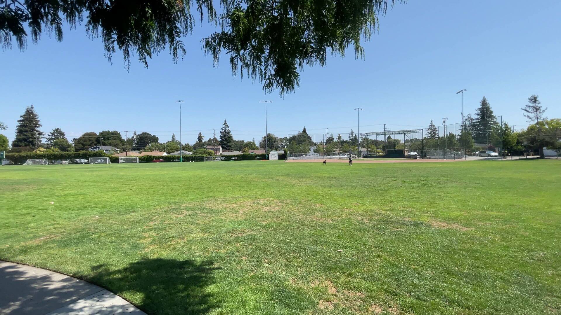 Football Field, Baseball Field, Burton Park San Carlos CA 94070