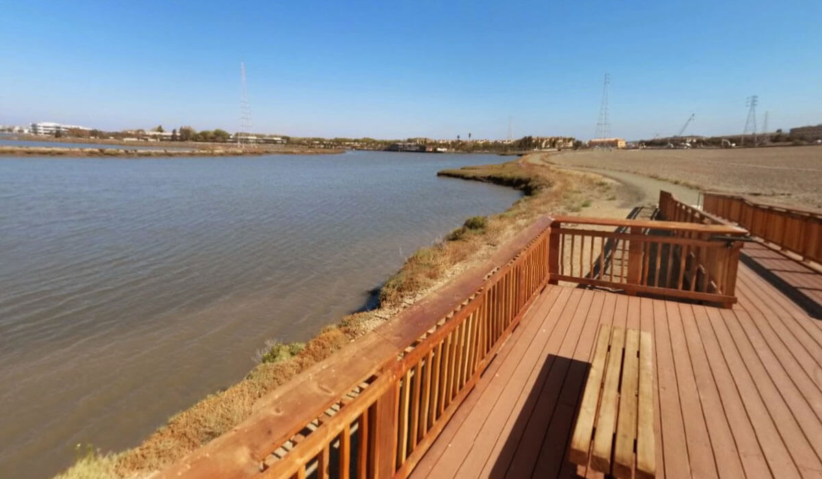 Exciting Attractions and Things to Do in San Carlos CA San Carlos Life