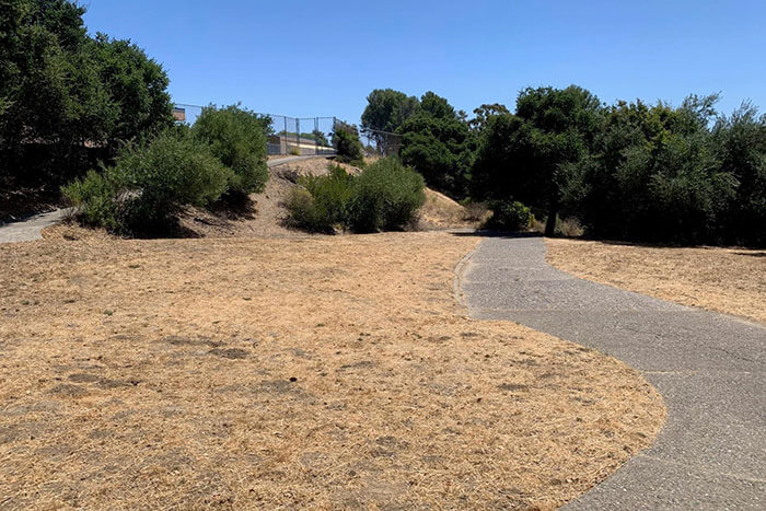 Heather Dog Exercise Park At Beverley Terrace At San Carlos Ca Photo From City Of San Carlos Official Website