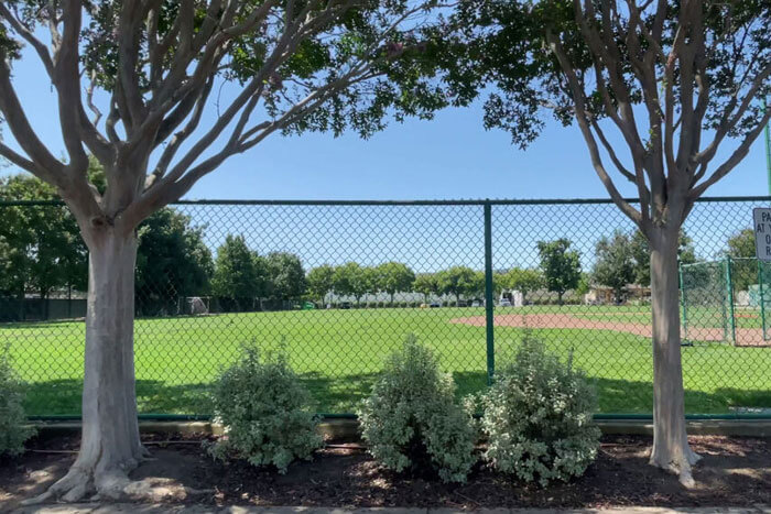 Laureola Park At Clearfield Park San Carlos Ca Photo By Vabrato Real Estate Services