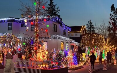 It’s Starting to look a lot like Christmas in Eucalyptus Avenue San Carlos CA