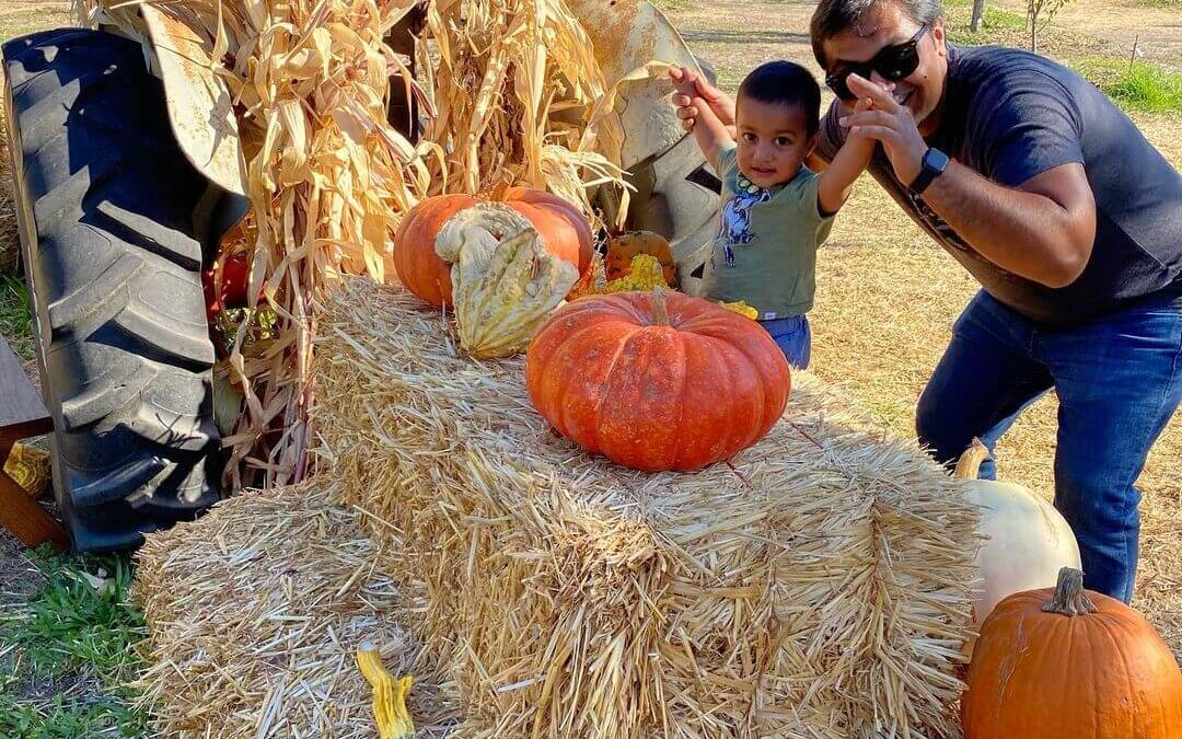 Enjoy the Great Harvest at the Orchard Days 2024