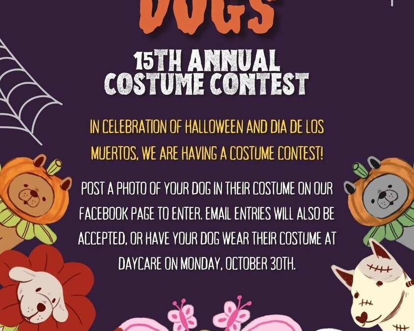 The Exciting 15th Annual Smilin Dogs Costume Contest