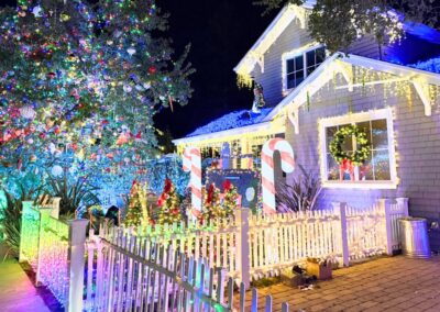 Eucalyptus Ave San Carlos Christmas 2024 (1)