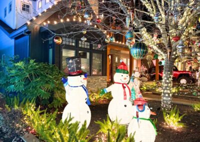 Eucalyptus Ave San Carlos Christmas 2024 (4)