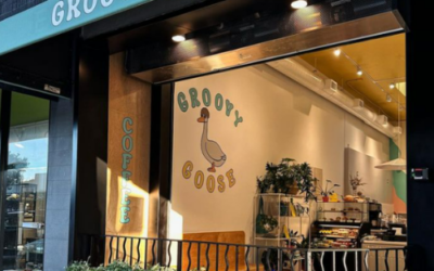 Groovy Goose Coffee: You Local San Carlos Coffee Shop