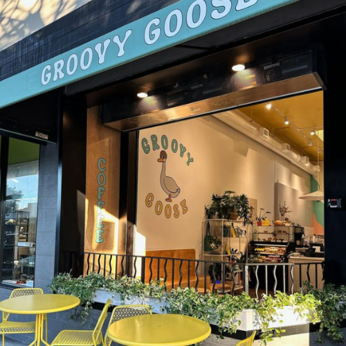 Groovy Goose Coffee San Carlos