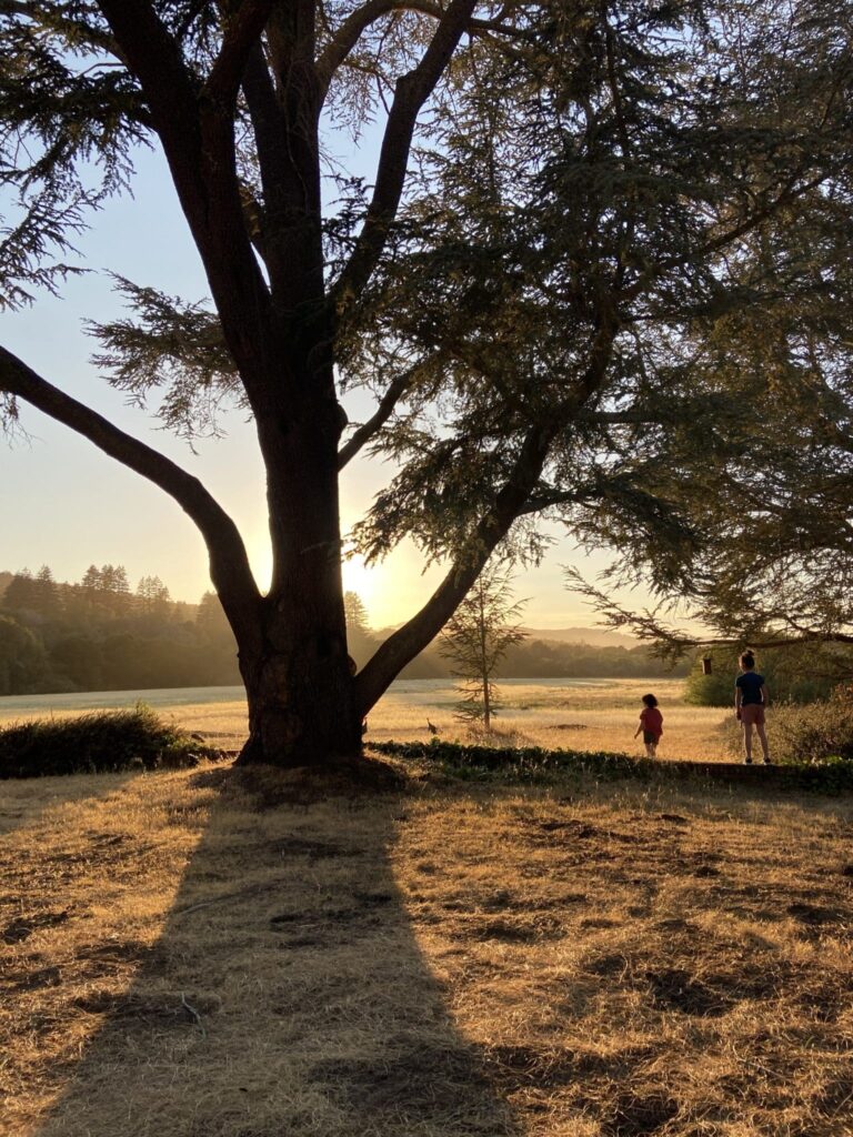 Sunset Hikes at Filoli