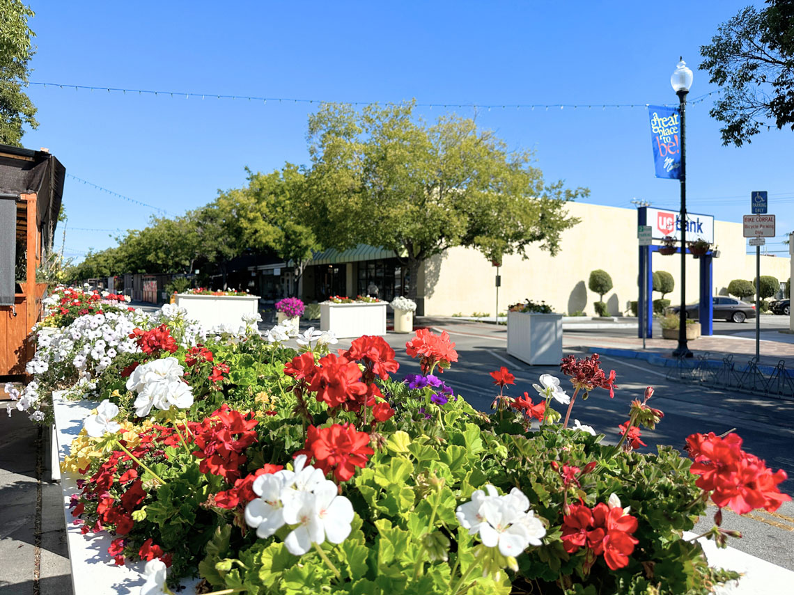 San Carlos Downtown Streetscape Survey photo by Vabrato Real Estate