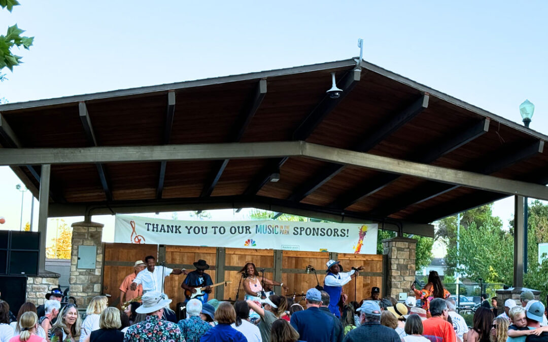 Music in the Park 2024 Explodes with Amazing Record-Breaking Attendance