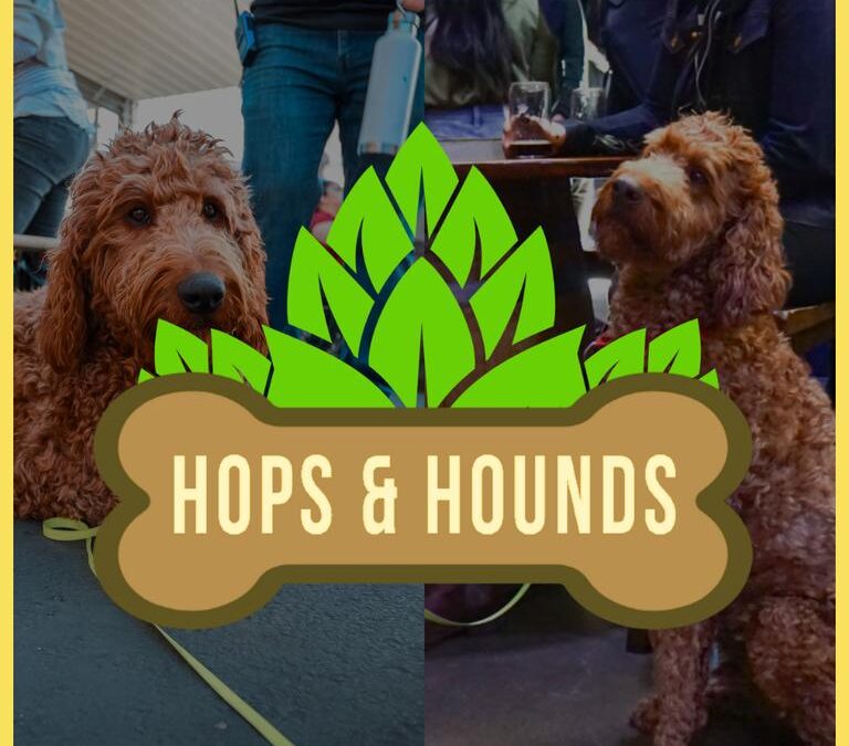 Hops and Hounds: Exciting Doggie Night At Devils Canyon