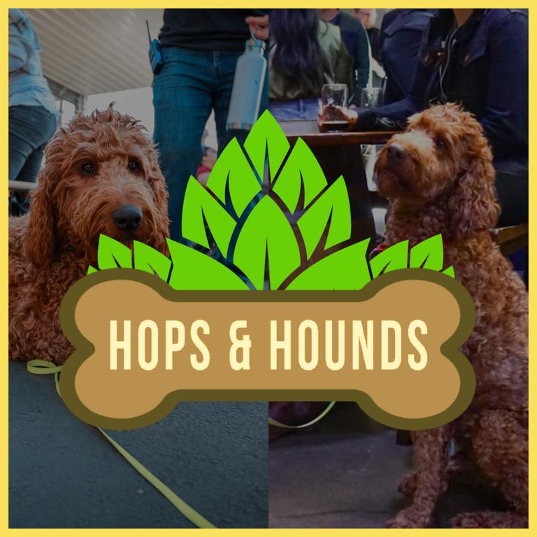 Hops and Hounds Devils Canyon San Carlos