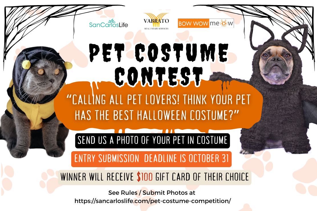 Pet Costume Competition San Carlos Life CA