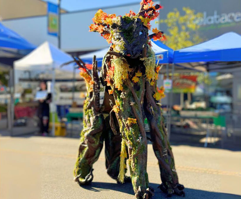 Forest Creature Visits The Farmers Market