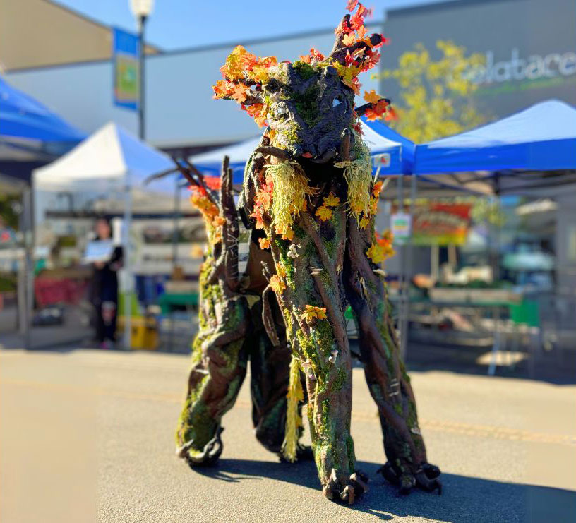 Forest Creature Farmers Market San Carlos (3)