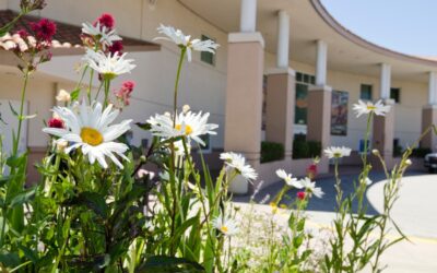 Happy Birthday San Carlos Library!