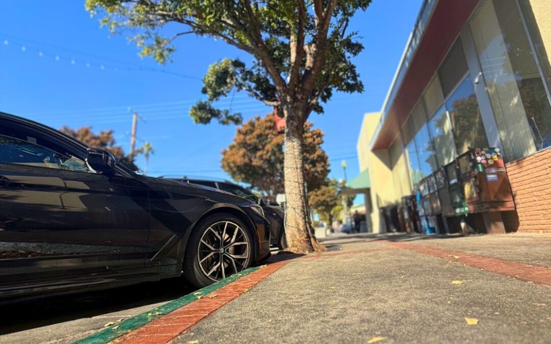 San Carlos “Sticky Streets” Due to Stressed Out Trees