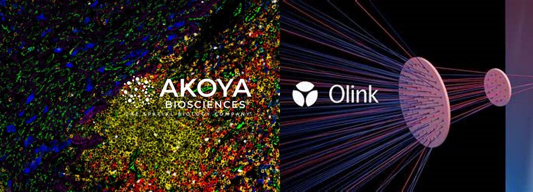 Biomarkers and Brews: Exploring Proteomic Innovations with Akoya Biosciences & Olink Decenber 5, 2024, join us in this exciting event!