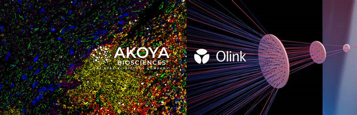 Biomarkers and Brews: Exploring Proteomic Innovations with Akoya Biosciences & Olink