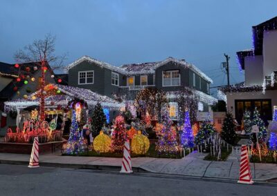Eucalyptus San Carlos Christmas Lights (1)