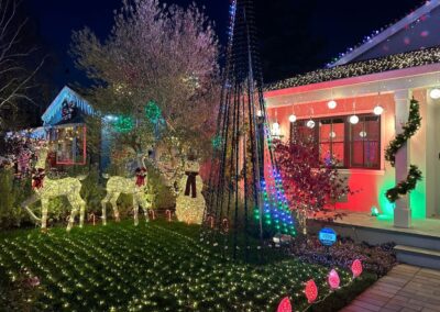 Eucalyptus San Carlos Christmas Lights (3)