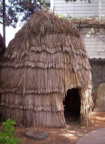 Ohlone Dwelling in Graveyard of San Francisco de Asis