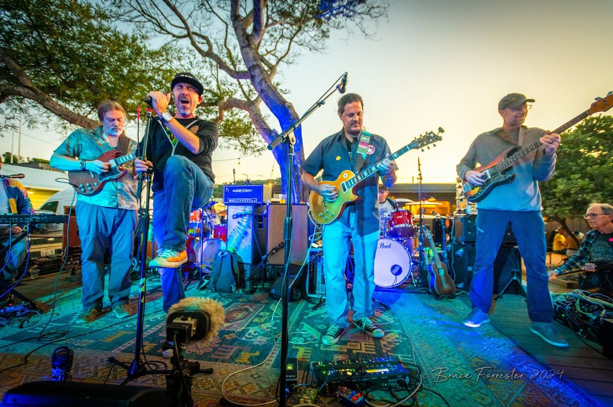 Experience an Unforgettable Allman Brothers Tribute with Freestone Peaches at Burton Park