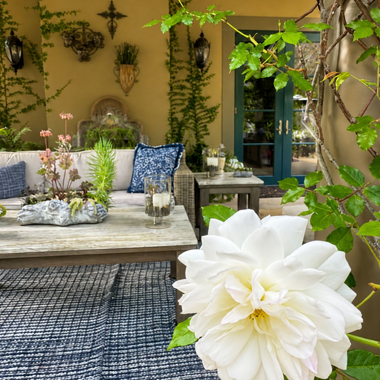 San Carlos Jenn's Gardening Clients Outdoor Living Area 2 San Carlos Jenn's Gardening Clients Outdoor Living Area 2