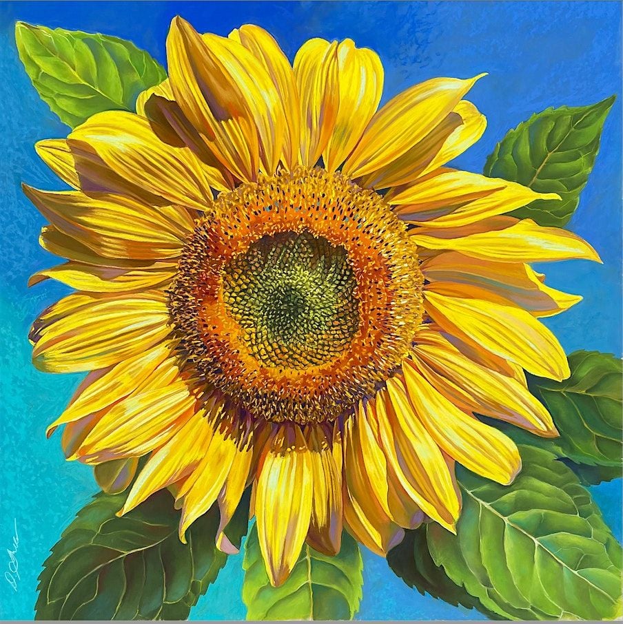 Sunflowers in Pastels with Deb Shea: Discover the Beauty of Floral Art