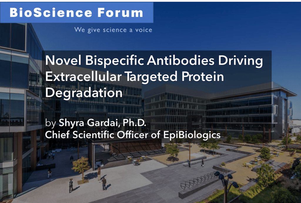 BioSF Presents: Bispecific Antibodies Driving Targeted Protein Degradation