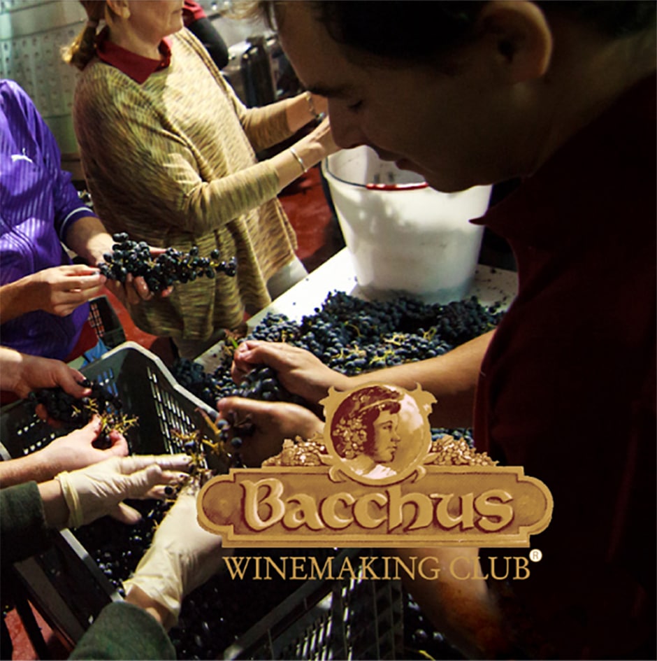 23rd Annual Bacchus Harvest Party: Craft Your Own Wine and Create Lasting Memories