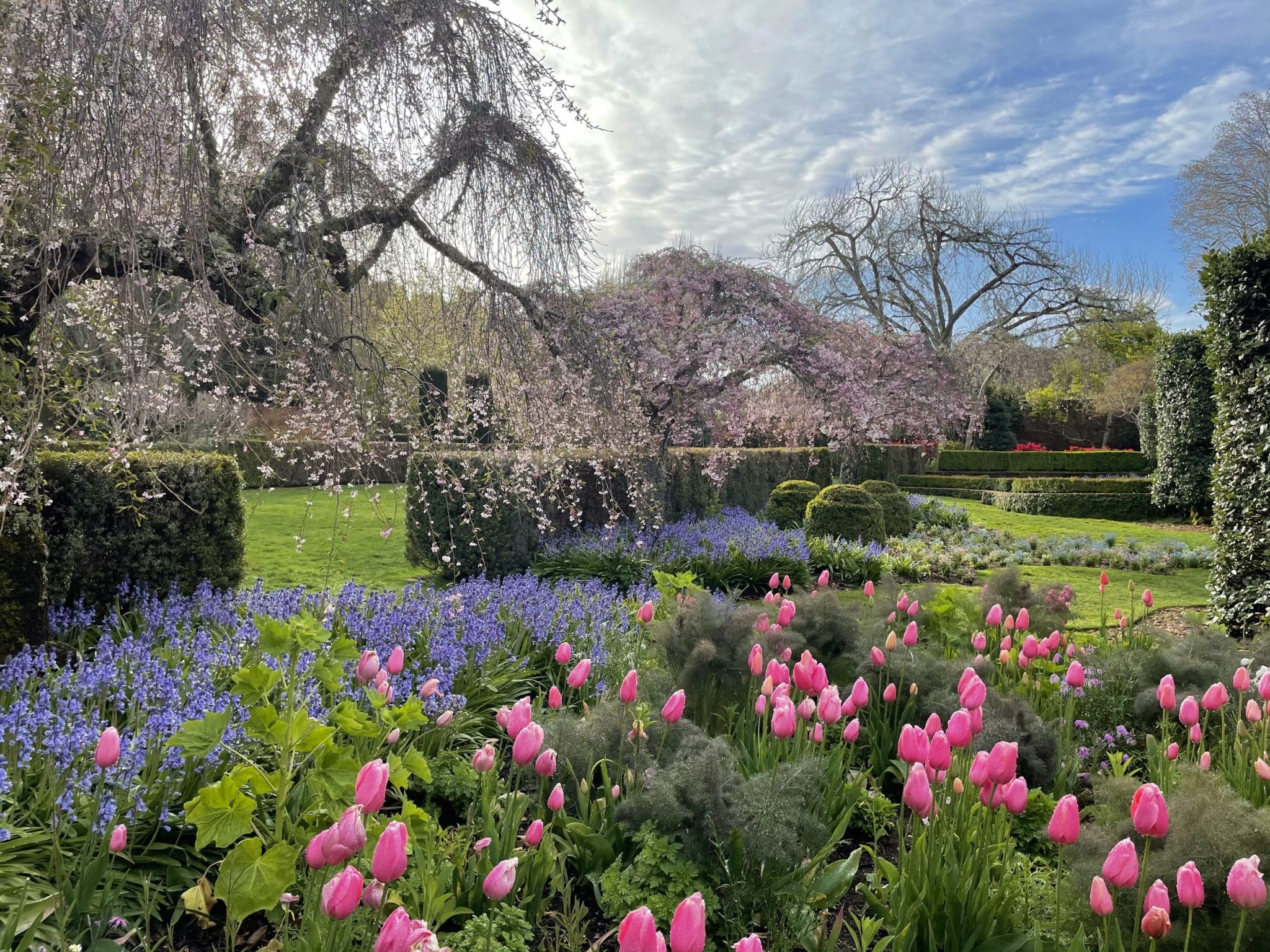 Go Beyond the Garden Gates: Discover Filoli’s Insider’s Garden Tour