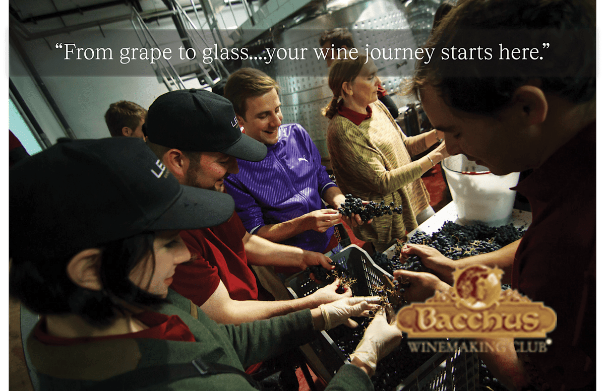 You Be the Winemaker: Craft It, Bottle It, Love It at Harvest at Domenico!