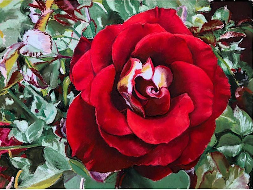 Red Roses in Pastels: Discover the Beauty of Floral Art at ART BIAS in San Carlos on November 21